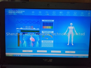 ประเทศจีน Romanian Language Software Version 44 Reports Quantum Body analyzer Silver Color Box ผู้ผลิต