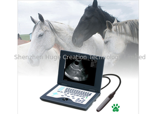 ประเทศจีน CLS5800 laptop Veterinary Ultrasound Scanner Full Digital Ultrasonic Diagnostic System ผู้ผลิต