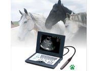 ประเทศจีน CLS5800 laptop Veterinary Ultrasound Scanner Full Digital Ultrasonic Diagnostic System โรงงาน