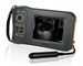 Monochrome Display Veterinary Ultrasound Scanner L60 With 32 Digital Channels ผู้ผลิต